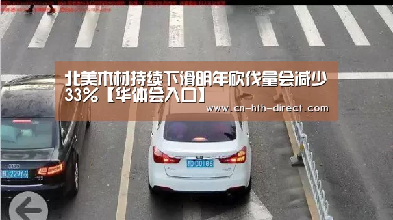 北美木材持续下滑明年砍伐量会减少33%【华体会入口】