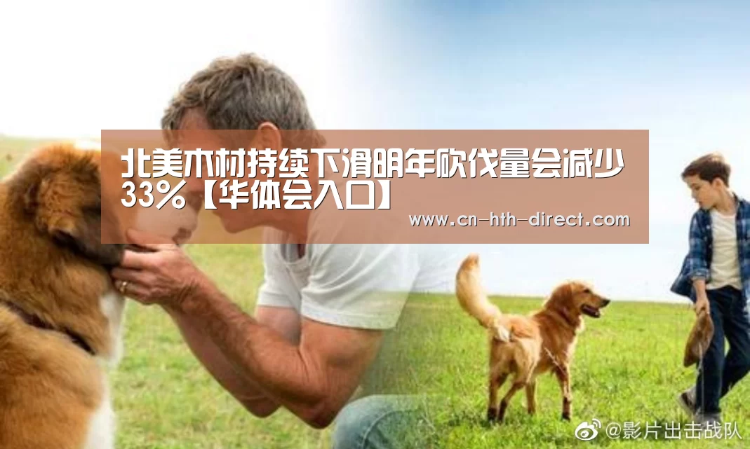北美木材持续下滑明年砍伐量会减少33%【华体会入口】(图3)