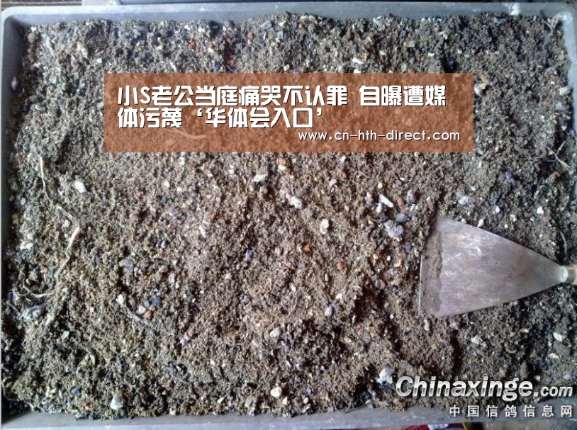 小S老公当庭痛哭不认罪 自曝遭媒体污蔑‘华体会入口’