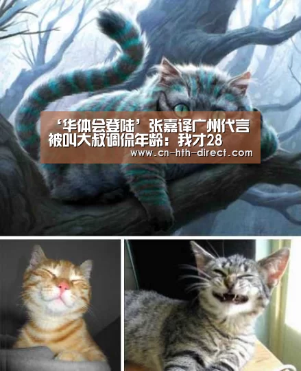 ‘华体会登陆’张嘉译广州代言 被叫大叔调侃年龄:我才28(图3) 华体会登陆
